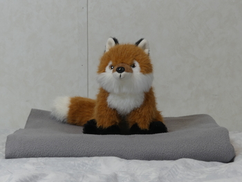 Unnamed 31 (Red Fox, Felix Europe)